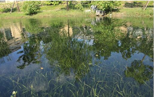 工業(yè)鋁型材生產(chǎn)、浙江工業(yè)鋁型材